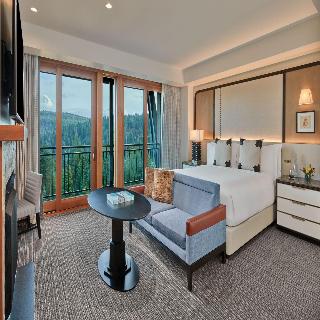 Room Room