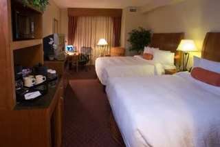 Room
 di Hilton Garden Inn DFW Airport South 