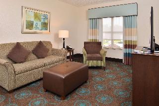 1 King Bed 1Bdrm Suite W/ Sofabed Nonsmoking