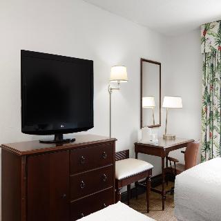 Room Room