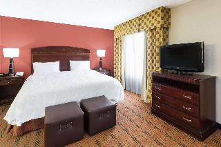 1 King Bed Studio Suite Nonsmoking