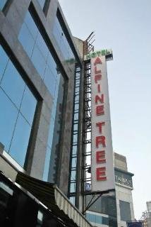 General view
 di Alpine Tree