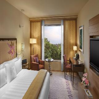 Room Room