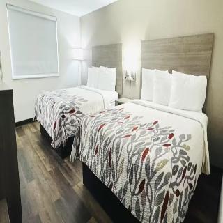 Room Room