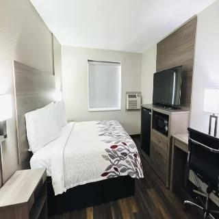 Room Room