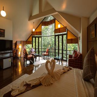 Room Room