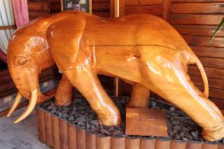 Graywood hotel Graywood hotel