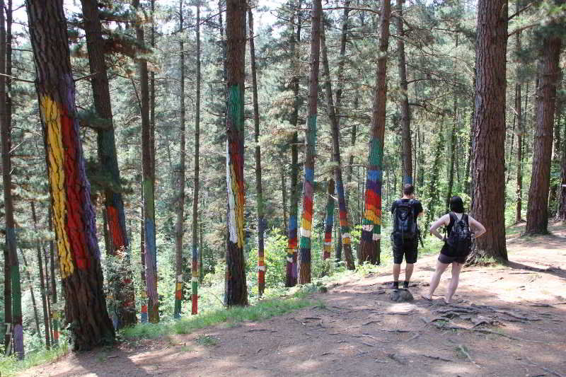 General view
 di Mundaka