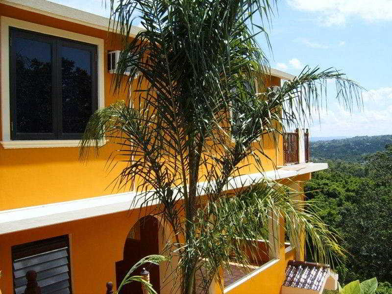 General view
 di Terraces at Rincon