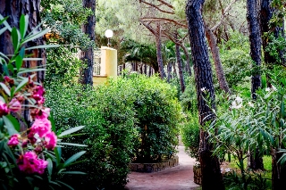 General view
 di Forte Village Resort Royal Pineta