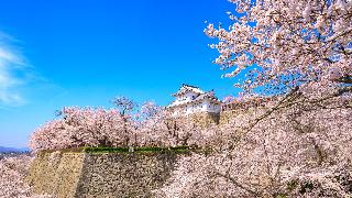 ANA Crowne Plaza Okayama