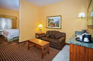 1 King Bed Studio Suite W/ Sofabed Nonsmoking