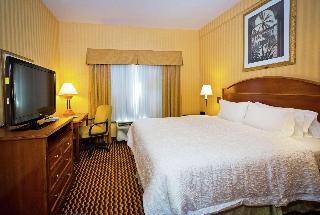 1 King Bed Studio Suite W/ Sofabed Nonsmoking