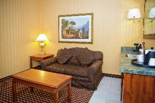 1 King Bed Studio Suite W/ Sofabed Nonsmoking