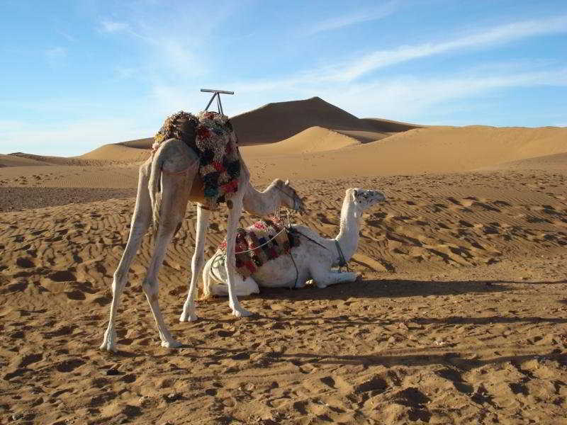 Sports and Entertainment
 di Bivouac Les Dunes De Tinfou