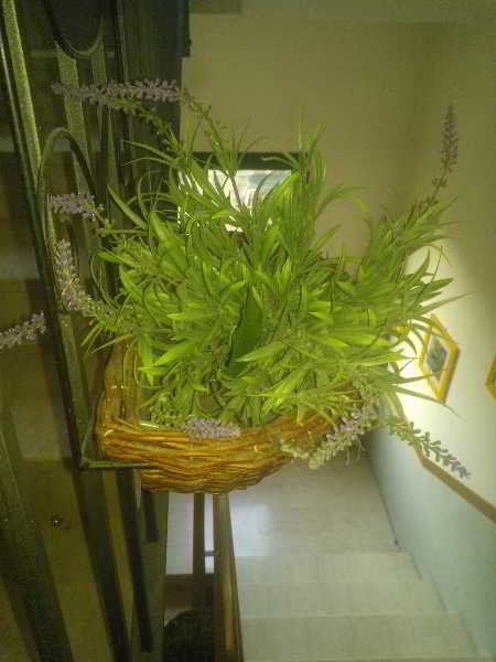 General view
 di Riva del Sole