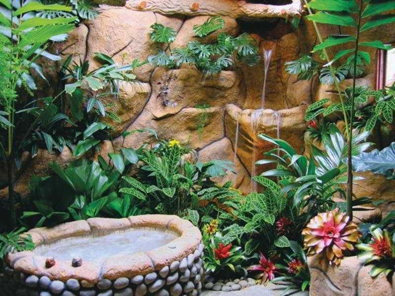 General view
 di The Peace Lodge at La Paz Waterfall Gardens