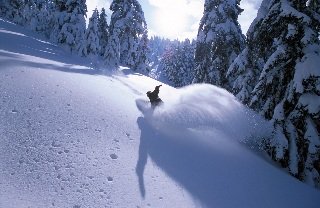 Sports and Entertainment
 di Club Bergers Resorts