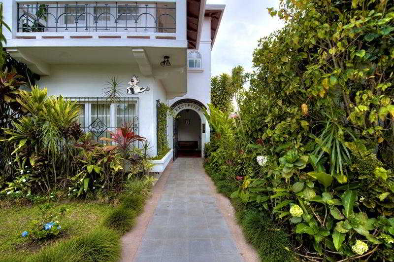 General view
 di Le Bergerac