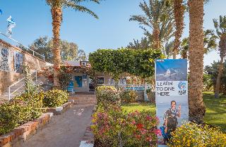 Sports and Entertainment
 di Fort Arabesque