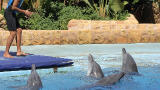 Holiday Inn Express Durban - Umhlanga