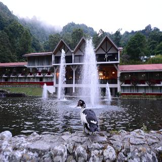 Hotel Bambito By Faranda Boutique, A Member Of Rad