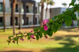 HillStone Bodrum Hotel & SPA