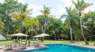 Sefapane Lodge Safaris