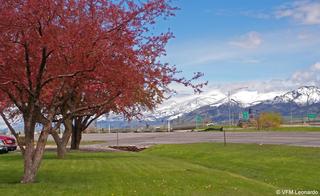 Holiday Inn Bozeman