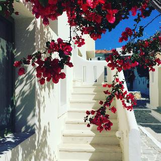 Aphrodite Samos Superior Studios & Apartments