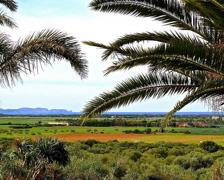 General view
 di Es Turo