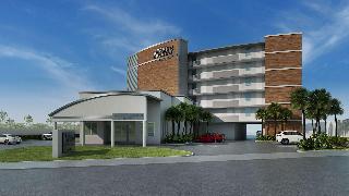 RUSHHH Daytona Beach Tapestry Collection by Hilton