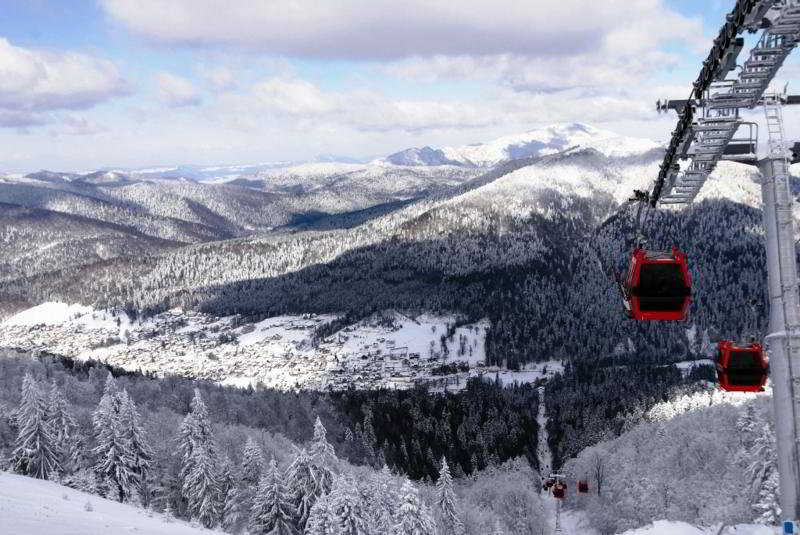 General view
 di Lux Garden