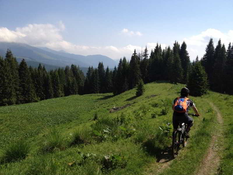 Sports and Entertainment
 di Lux Garden