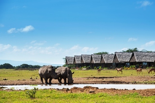 Sweetwaters Serena Camp
