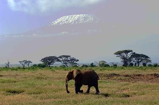 Amboseli Serena Safari Lodge photo 5