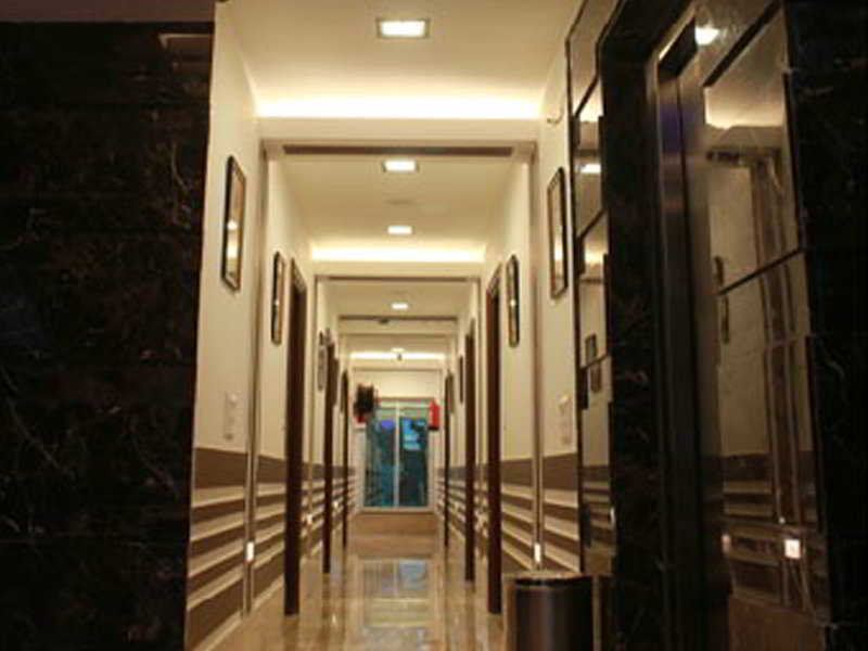 General view
 di Stallions