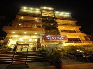 General view
 di Stallions