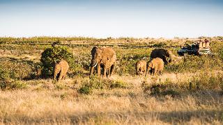 Gondwana Game Reserve Gondwana Game Reserve