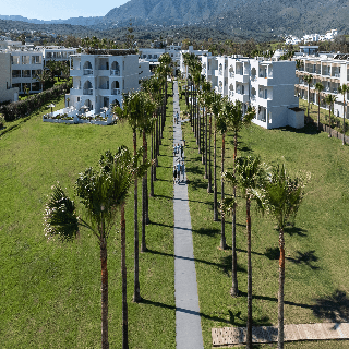 Delfina Tropic Beach