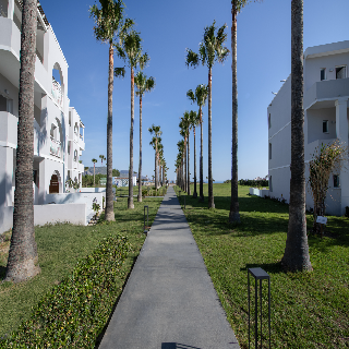 Delfina Tropic Beach