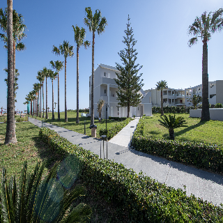 Delfina Tropic Beach