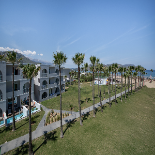 Delfina Tropic Beach