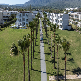 Delfina Tropic Beach