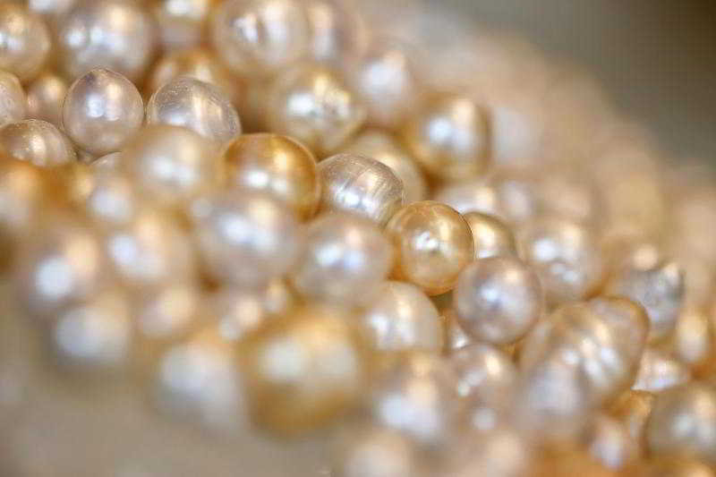 General view
 di The Westin Hyderabad Mindspace