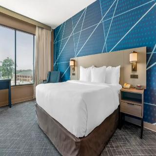 Room Room