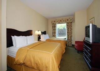 Room
 di Comfort Suites Wright Patterson