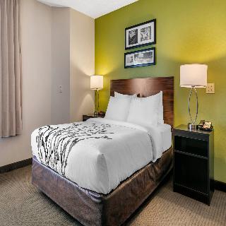 Room Room