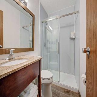Room Room