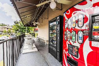 整體概覽